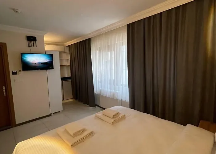 酒店 The Balo Pera 伊斯坦布尔