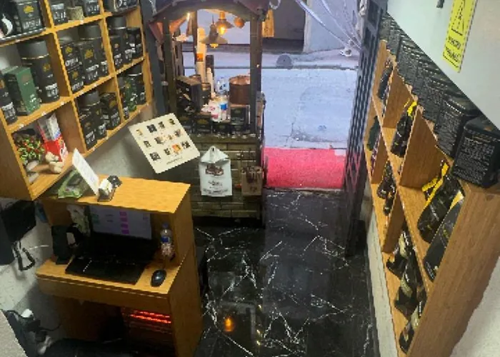 The Balo Pera 3* 伊斯坦布尔